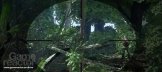 Crysis