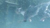 The Last Guardian