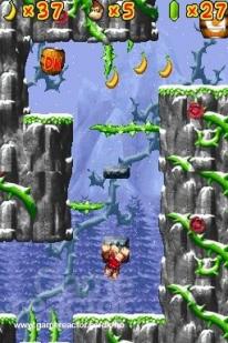 DK Jungle Climber