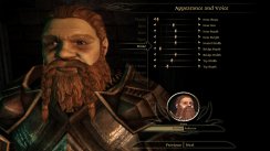 Dragon Age: Origins