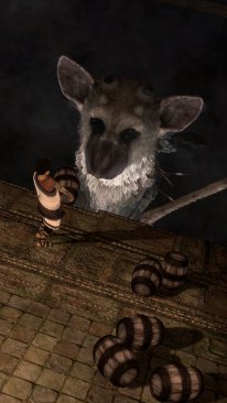 The Last Guardian