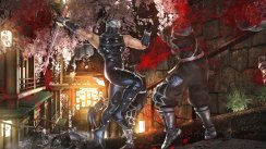 Ninja Gaiden II
