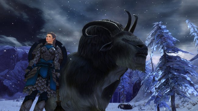 Intervju: Guild Wars 2