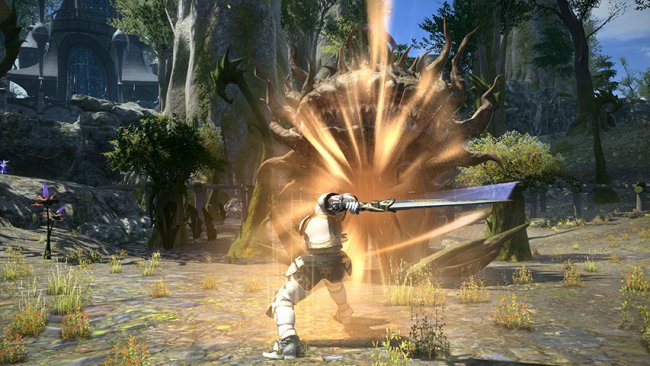 Final Fantasy XIV: A Realm Reborn for samlere