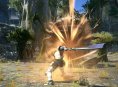 Final Fantasy XIV: A Realm Reborn for samlere