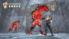 Ninja Gaiden
