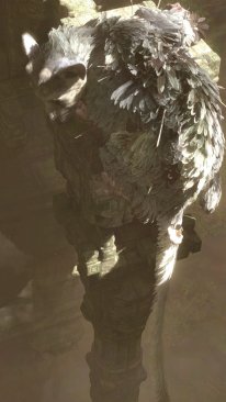 The Last Guardian