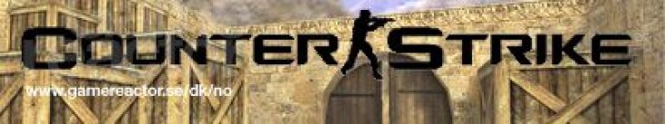 Server Sektion
