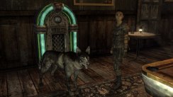 Fallout: New Vegas