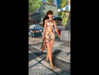 Dead or Alive 4