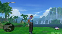 Dragon Quest X Online