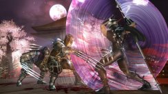 Ninja Gaiden II