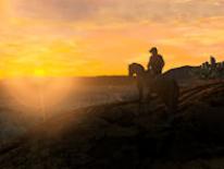 Red Dead Redemption