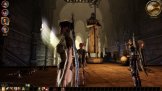 Dragon Age: Origins