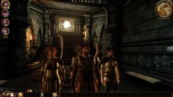 Dragon Age: Origins