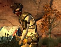 Fallout: New Vegas