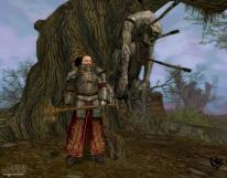 Warhammer Online: Age of Reckoning