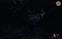 Risen 2: Dark Waters