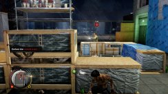 Sleeping Dogs