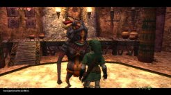 The Legend of Zelda: Twilight Princess