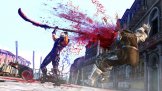 Ninja Gaiden II