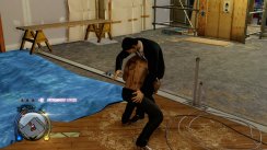 Sleeping Dogs