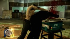 Sleeping Dogs
