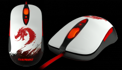 Guild Wars 2