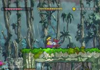 Wario Land: The Shake Dimension