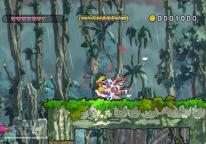 Wario Land: The Shake Dimension