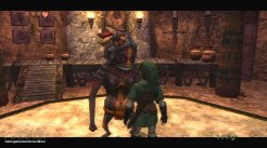 The Legend of Zelda: Twilight Princess