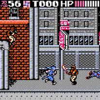 Ninja Gaiden
