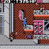 Ninja Gaiden