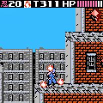 Ninja Gaiden