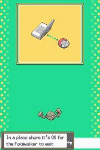Pok�mon Heartgold/Soulsilver