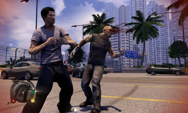 Sleeping Dogs