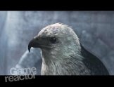 Assassin's Creed