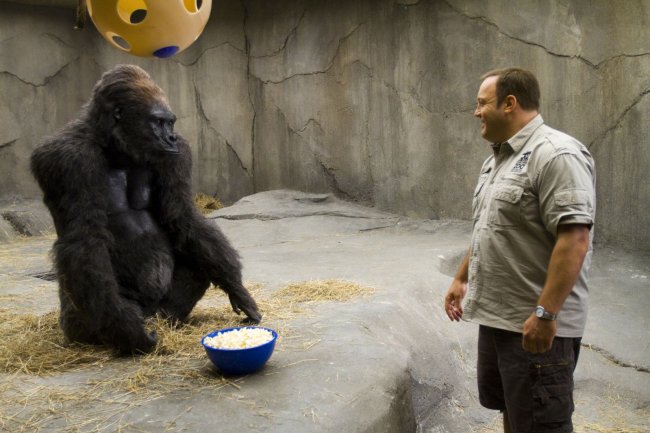 Zookeeper