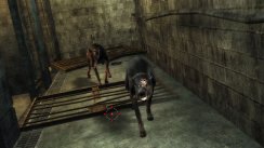 Resident Evil: The Darkside Chronicles