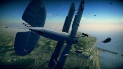 Birds of Steel