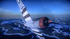Birds of Steel