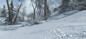 Assassin's Creed III