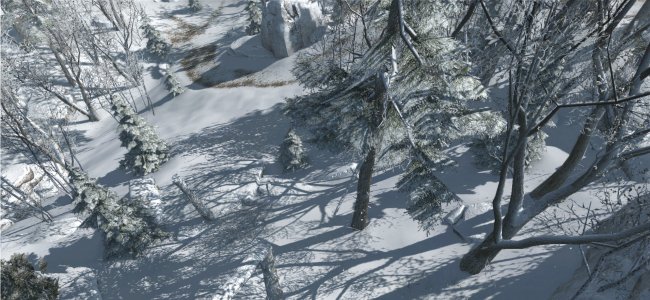 Assassin's Creed III