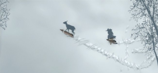 Assassin's Creed III