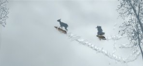 Assassin's Creed III
