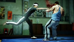 Sleeping Dogs