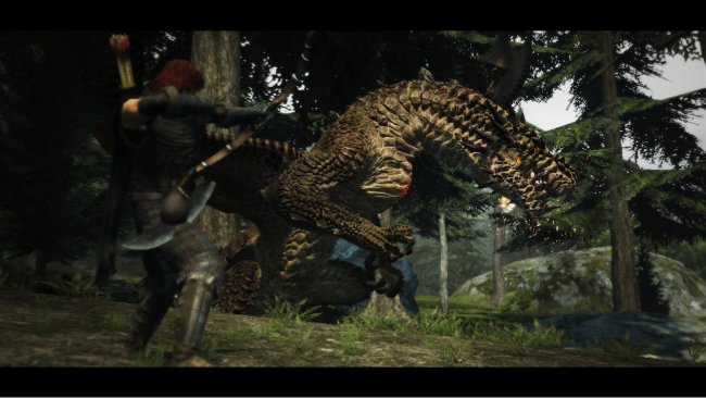 Dragon's Dogma