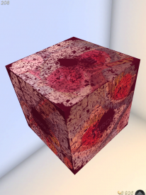 Curiosity: What's Inside the Cube