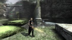 The Last Story