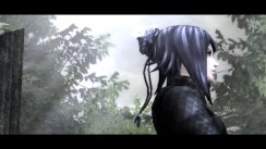 The Last Story